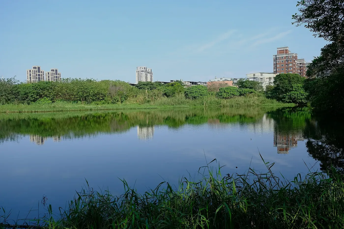 Vegetated constructed wetland with channels through emergent plants