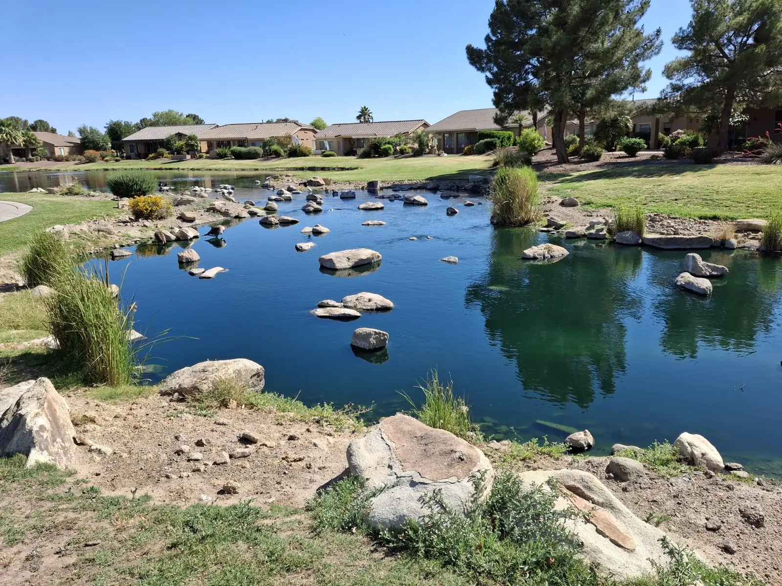 Lake and reservoir field photograph